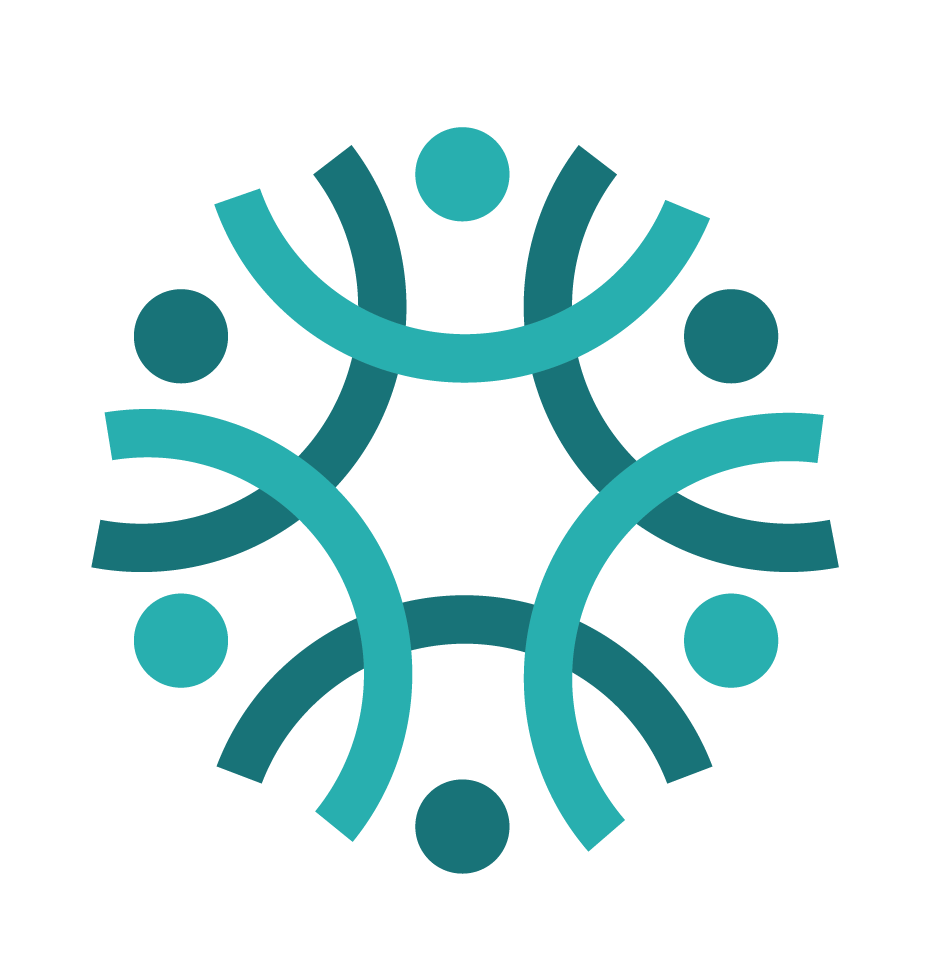 Spider Project Logo